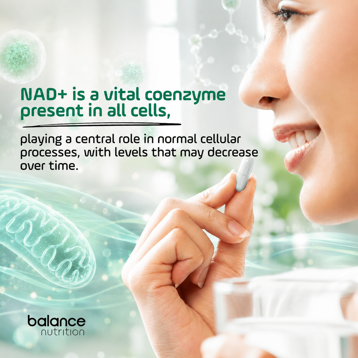 NAD+ with Trans Resveratrol & TMG, 2000mg Liposomal Supplement, 60 Capsules for Cellular Repair & Energy Metabolism, Supports Healthy Ageing - Image 6